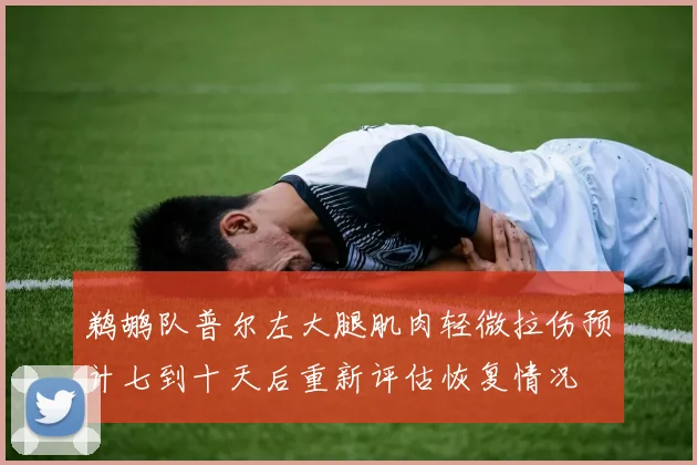 鹈鹕队普尔左大腿肌肉轻微拉伤预计七到十天后重新评估恢复情况