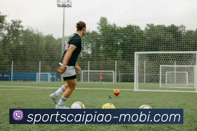 大发彩票平台生态图