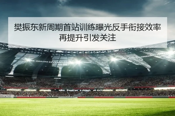 樊振东新周期首站训练曝光反手衔接效率再提升引发关注（dafabet）